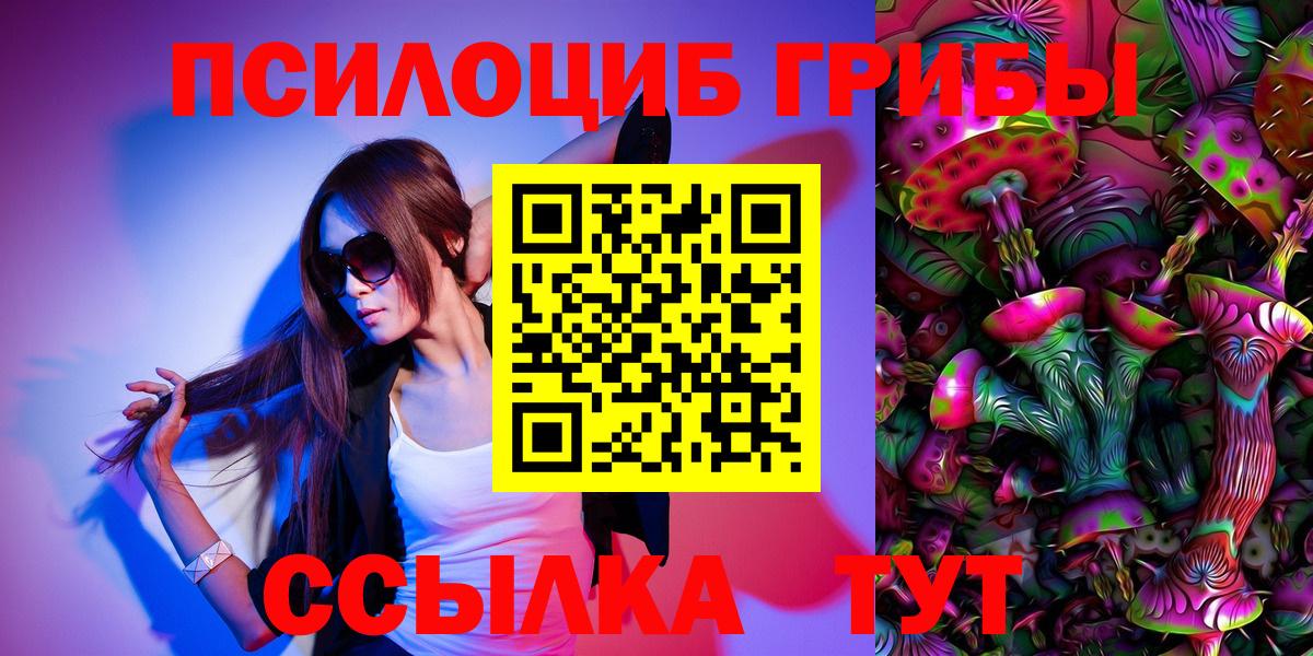 Псилоцибиновые грибы Psilocybe Богородицк