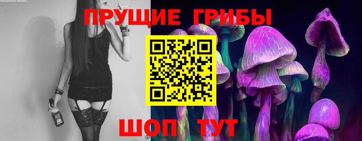 Псилоцибиновые грибы ЛСД  Вход с VPN  Богородицк 